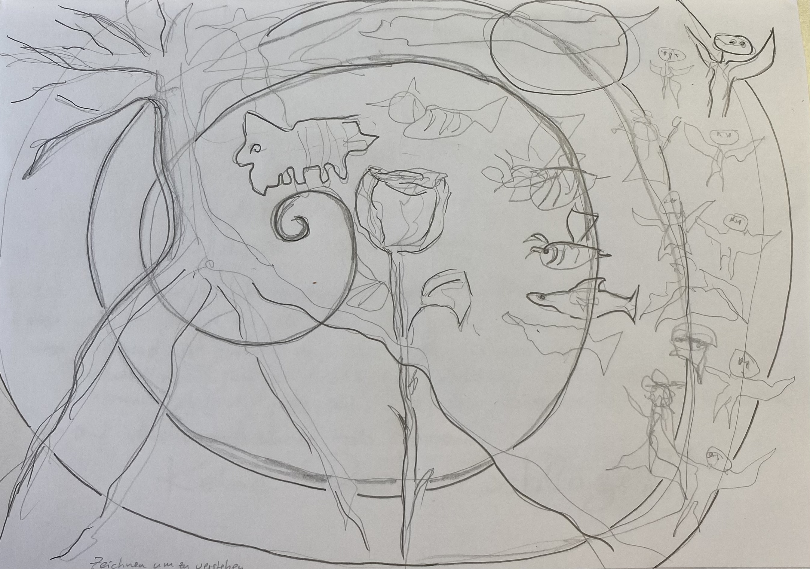 Zeichnung Petra Wendholz